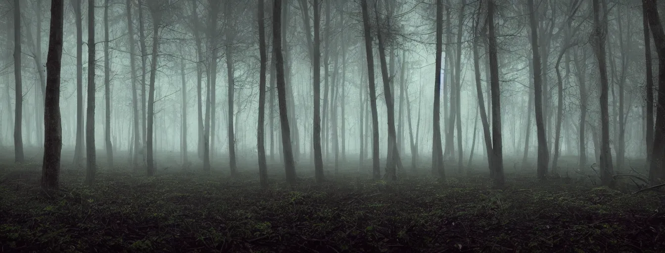 Prompt: dark foggy old forest in the night, dangeous scifi fluorescent robots with metal legs are searching for remaining humans, postapo style, heavy rain, reflections, high detail, dramatic moment, motion blur, dense ground fog, dark atmosphere, saturated colors, by darek zabrocki, render in unreal engine - h 7 0 4