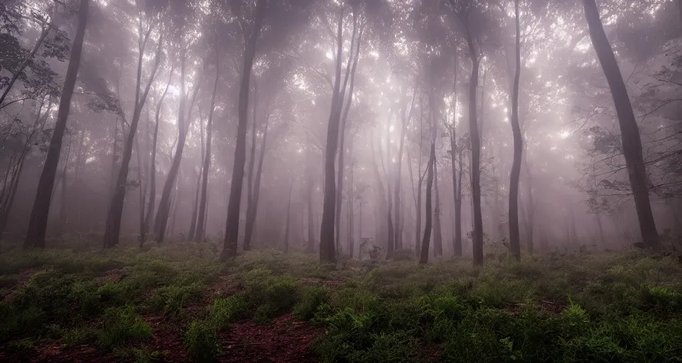 Image similar to a magical iradescent forest, thick fog, fireflies flying, big glowing trees, epic lighting, cinematic 4K