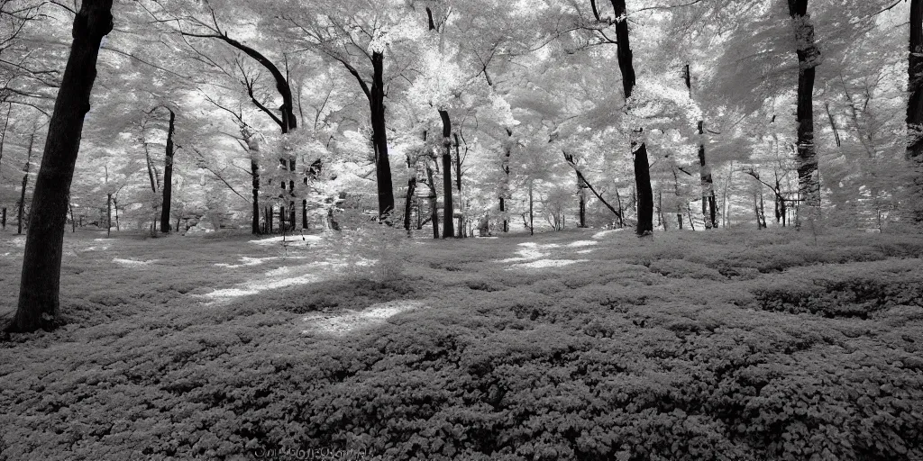 Image similar to colorful infrared photography of a forest, ir 5 5 0 nm, kolari