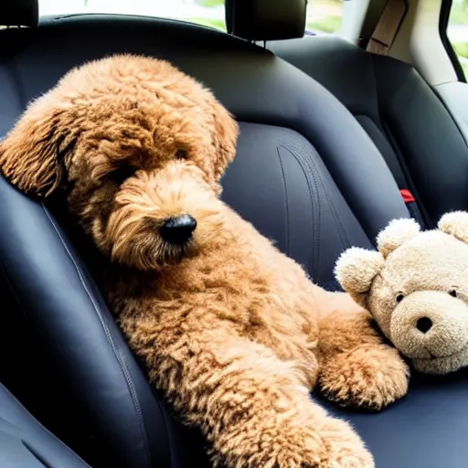 Prompt: A photo of a goldendoodle sleeping on the backseat of a car with a teddy bear next to it
