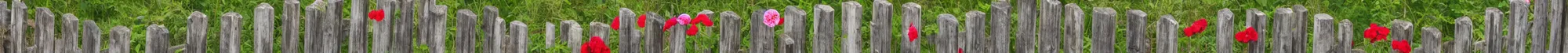 Image similar to wooden fencing with a few small flowers