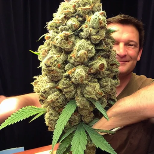 Image similar to beautiful giant marijuana bud as a nathan fillion