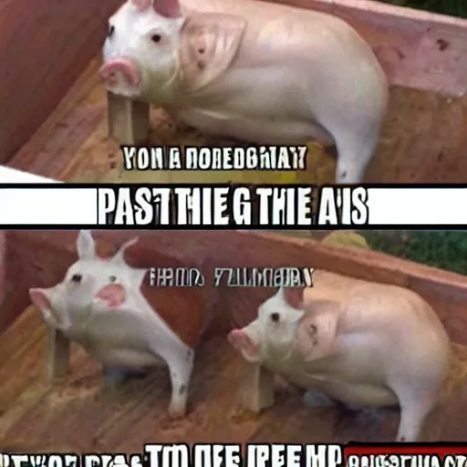Prompt: meme about pork