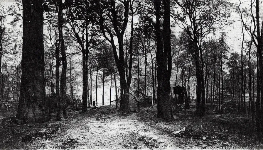 Prompt: photo of 19th century dark coal-mine entry in the forest by Diane Arbus and Louis Daguerre