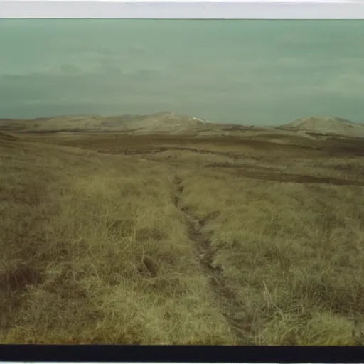 Prompt: polaroid of rohirrim by Tarkovsky