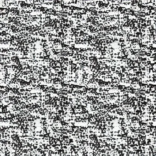 Image similar to autostereogram concealing a secret image of a bear