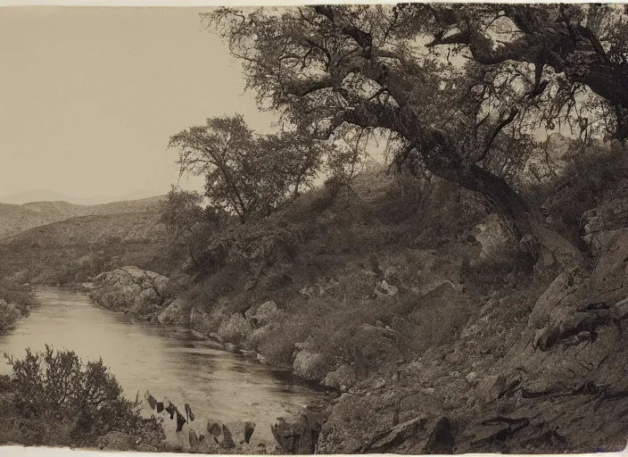 Prompt: Overlook of a river and chaparrals with sparse catci, albumen silver print by Timothy H. O'Sullivan.