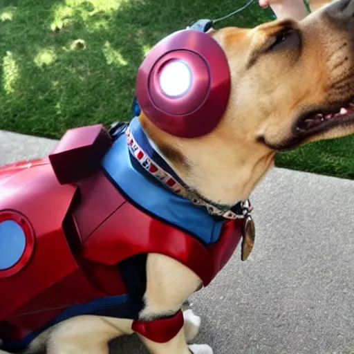 Image similar to ironman as a dog