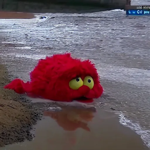 Image similar to cnn news footage of elmo being washed up on shore, tv