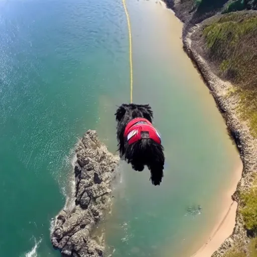 Prompt: a hairy dog with a big parachute jumping from a cliff. captured by a drone. wide camera. epic