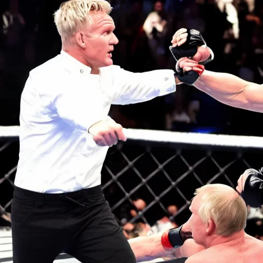 Image similar to Putin fighting Gordon Ramsay in the UFC