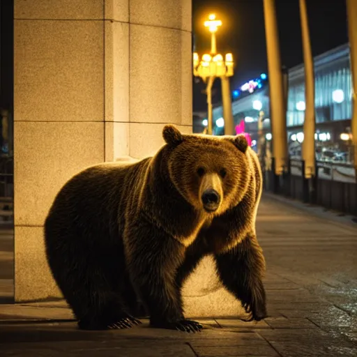Image similar to a drunk bear in Berlin at night, 8k photography, award winning photo, highly detailed