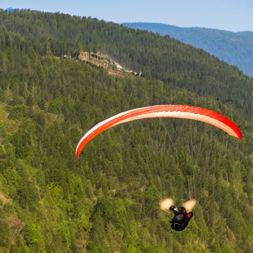 Image similar to paragliding grizzly