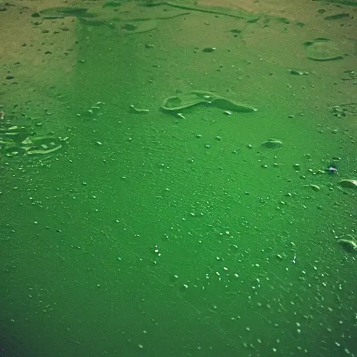Prompt: “green liquid on floor grainy photo”