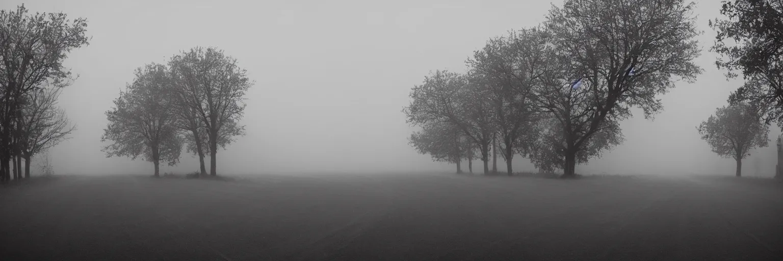 Prompt: that silence in the early morning, no cars in the streets, mist in the fields