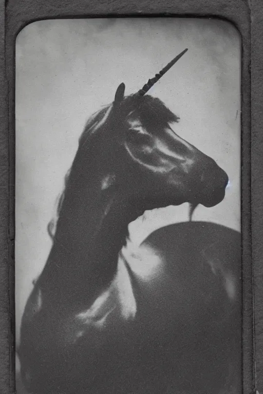 Image similar to a tintype photograph of a unicorn