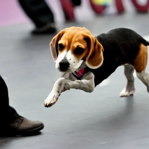 Image similar to a beagle dancing on its hind legs on stage in front of an audience