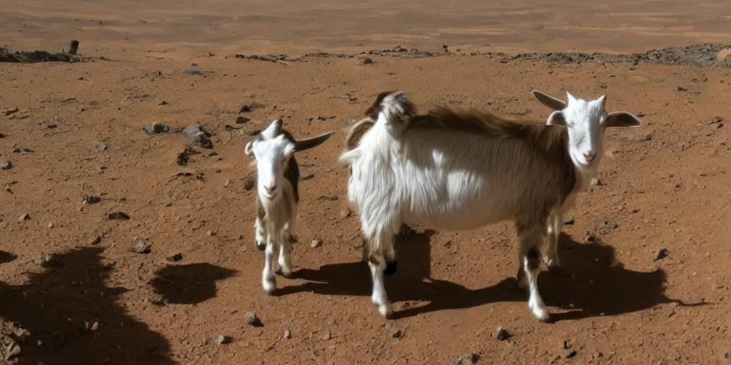 Prompt: a goat is the first man on mars. and discovers a cat jungle.