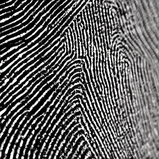 Prompt: close up of a finger print, ultra realistic, 4 k, black and white.