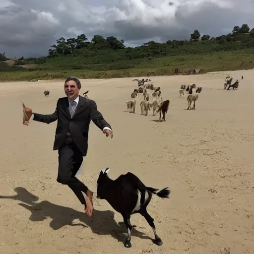 Image similar to Mr bean surfing on a goat