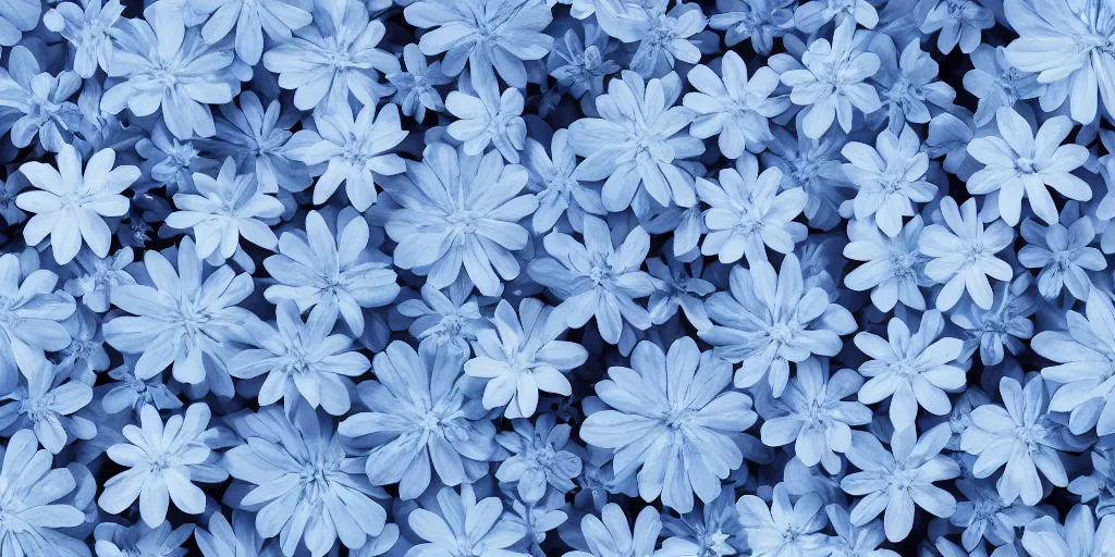 Prompt: minimalistic wallpaper of light blue flowers, matte painting