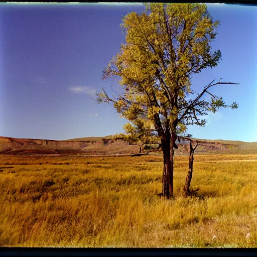 Image similar to photo, vedauwoo wyoming, kodak ektachrome 1 2 0,