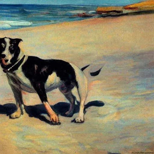 Image similar to dogs on the beach painted by sorolla