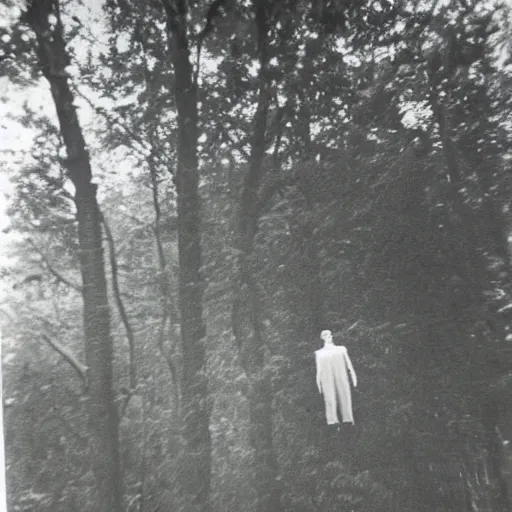 Prompt: old creepy photo with a lifeless body hovering above the trees