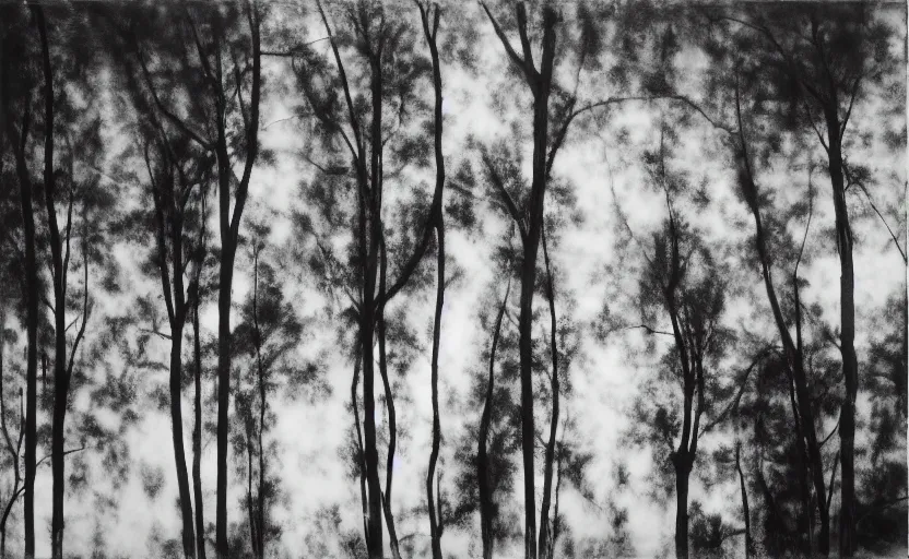 Prompt: silhouettes behind the trees, pinhole camera effect, lomography effect, analogue photo quality, monochrome, blur, unfocus, oil on linen, Chiaroscuro, painted by Giovanni Baglione