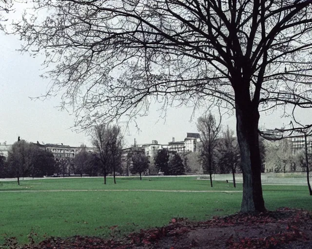 Image similar to a park with trees and buildings in the background, a photo by zlatyu boyadzhiev, deviantart, danube school, panorama, 1 9 9 0 s, creative commons attribution