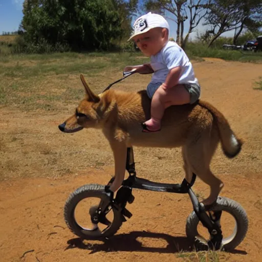 Image similar to baby riding on a dingo