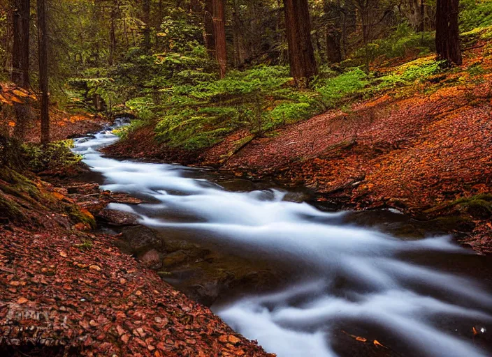 Prompt: color landscape photo by michael frye, david brookover, ansel adams, a stream in the woods, gorgeous, subtle colors, award winning photography