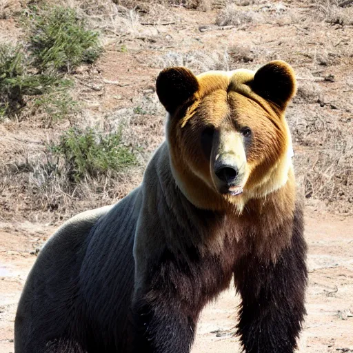 Prompt: bear with a lionmane