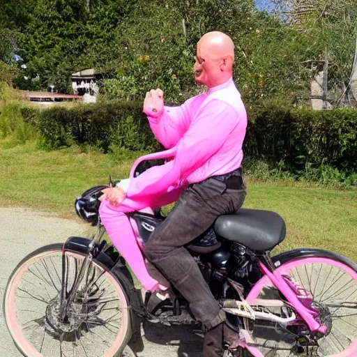 Prompt: bald man riding a pink pony