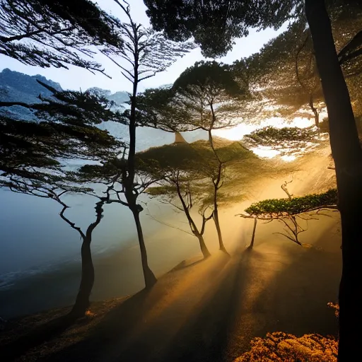Image similar to photo of Yakushima Forest Eerie Japan golden hour