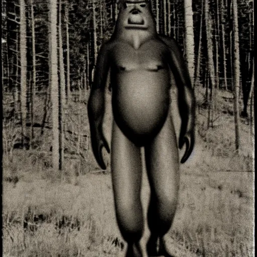 Prompt: classified photograph of massive sasquatch, colorado, film grain, specular highlights, 3 5 mm lens, government archive photograph