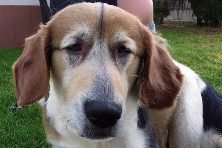 Prompt: a dog with a mullet