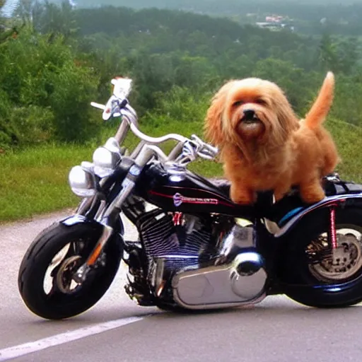 Prompt: dog on a as Harley Davidson on the road, funny picture