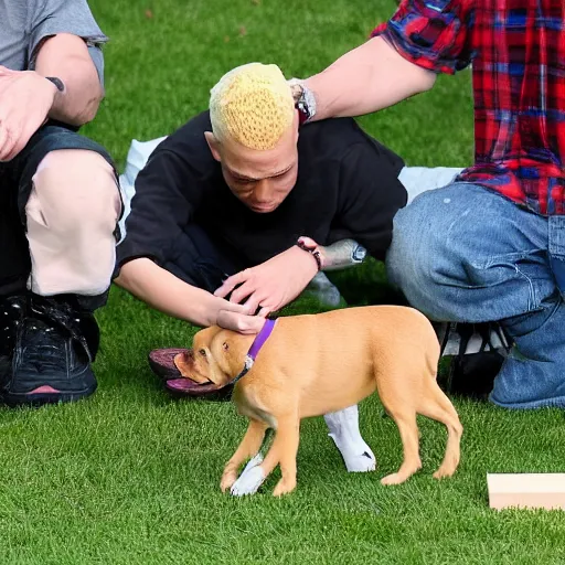 Image similar to Eminem with a dog plays with wooden blocks at Central Park