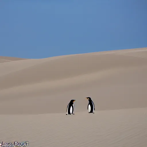 Image similar to penguins sand dunes,, photography