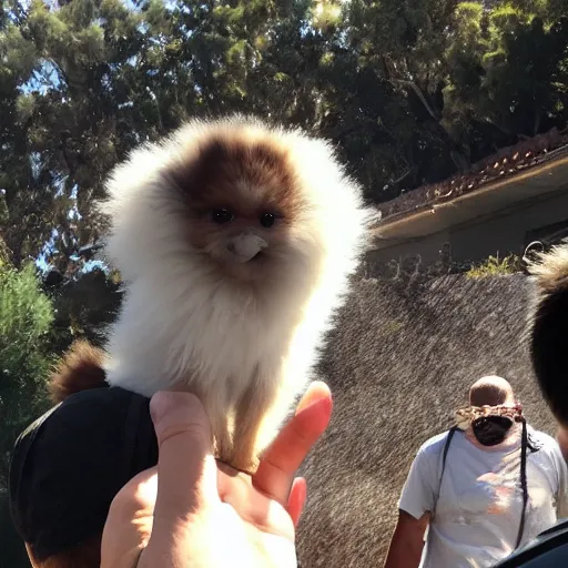 Image similar to LOS ANGELES, CA, USA-SEP 20, 2017: Just one of the most adorable cute fluffy creatures that emerged from the opening of the Hellmouth