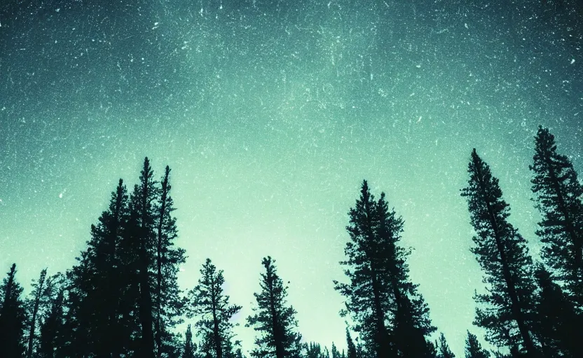 Prompt: atmospheric photo of the forest in the mountains, night sky