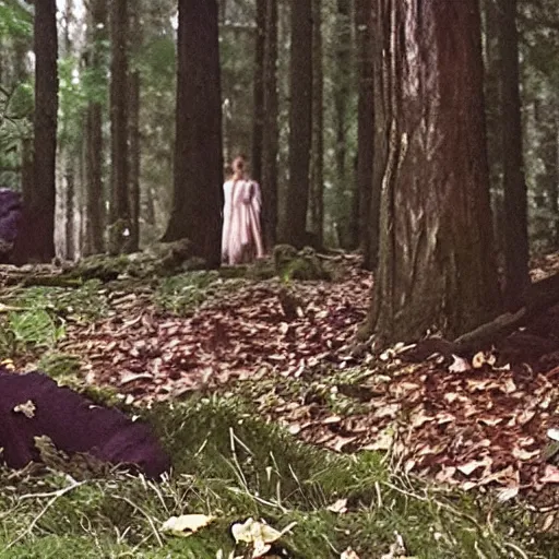 Prompt: a witch in the woods found footage