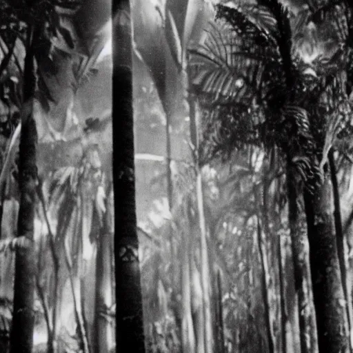 Prompt: lost film footage of a sacred totem, tropical forest, film still, cinematic, out of focus, enhanced, 1 9 2 0 s, black and white, grain