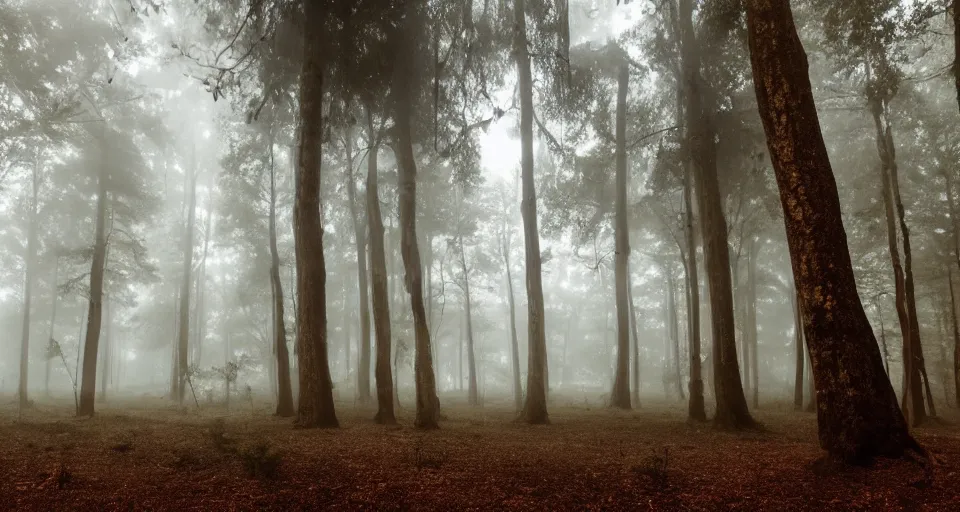 Image similar to a magical forest, thick fog, dark, fireflies flying and glowing, big trees, epic lighting, cinematic 4K