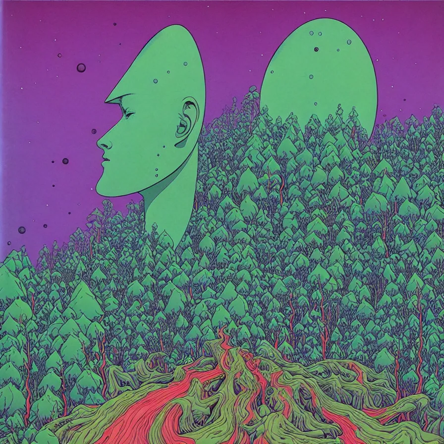 Image similar to ( ( ( ( ( forest on a mysterious planet ) ) ) ) ) by mœbius!!!!!!!!!!!!!!!!!!!!!!!!!!!, colorful, record jacket