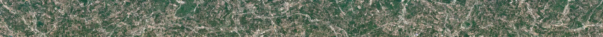 Image similar to satellite view of a town shaped like an alligator