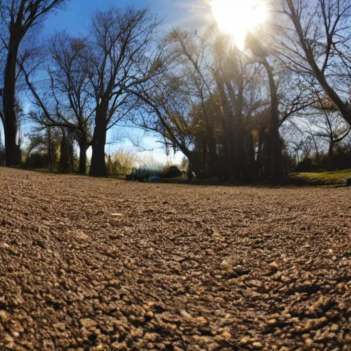 Image similar to a dog’s eye view of the dog park