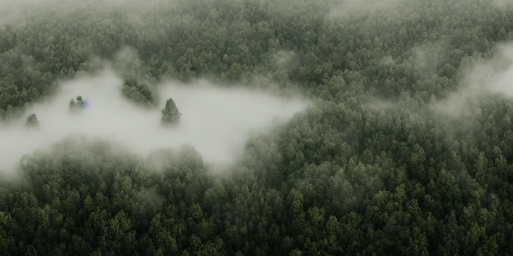 Prompt: aerial photograph of calming fog over the woods on a mountain, green, photorealistic