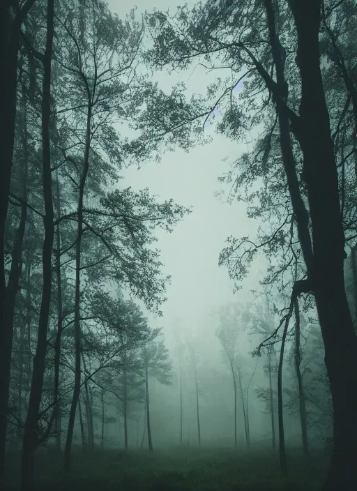 Image similar to a picture of a forest with a sky background, a detailed matte painting by elsa bleda, featured on unsplash, tonalism, soft mist, mist, made of mist